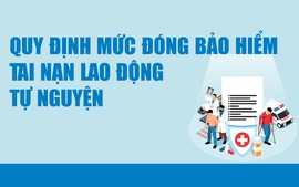 Infographics: Quy định về đóng bảo hiểm tai nạn lao động tự nguyện