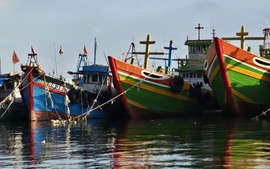 Quảng Nam kêu gọi tàu cá di chuyển phòng tránh bão số 7