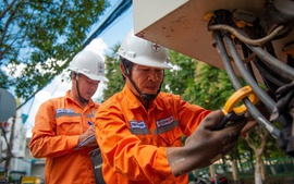 EVNCPC đảm bảo điện phục vụ sản xuất hàng Tết Nguyên đán Ất Tỵ