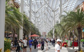 Bình Thuận: Thu hút du khách từ nhiều chương trình kích cầu du lịch đặc sắc