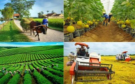 Đề xuất Tổng điều tra nông thôn, nông nghiệp cả nước vào ngày 01/7/2025