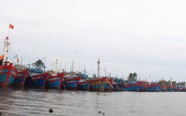 Quảng Nam: Làm việc với các tàu cá có dấu hiệu khai thác hải sản trái phép