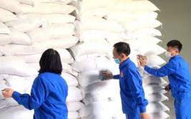 Xuất cấp gạo cho 2 địa phương dịp giáp hạt đầu năm 2024