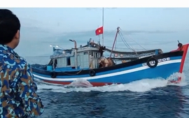 Quảng Nam tăng cường tuần tra trên biển, xử lý nghiêm tàu cá vi phạm IUU