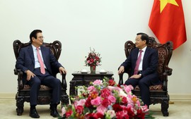 Phó Thủ tướng Lê Minh Khái tiếp Phó Chủ tịch, Giám đốc điều hành Tập đoàn Hyosung