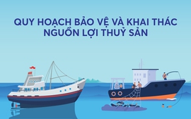 Infographics: Quy hoạch bảo vệ và khai thác nguồn lợi thủy sản