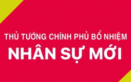 Bổ nhiệm 2 Phó Tư lệnh kiêm Tham mưu trưởng Quân chủng Hải quân và Quân khu 1