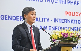Thực thi cam kết của Việt Nam về bình đẳng giới trong xây dựng và thi hành pháp luật 