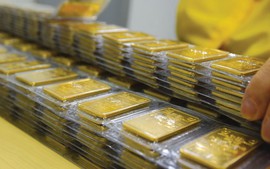 Đấu giá thành công 3.400 lượng vàng với giá 86,05 triệu đồng/lượng