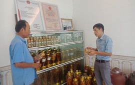 Phát triển thế mạnh sản phẩm OCOP tại Bắc Giang