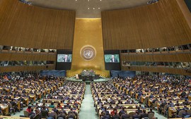 Liên Hợp Quốc thông qua Nghị quyết "Cải thiện an toàn giao thông toàn cầu"