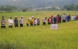 Tô đậm thêm tính nhân văn trên quê hương Lắk anh hùng