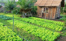 Điều kiện, hồ sơ đề nghị chuyển đất nông nghiệp thành đất ở