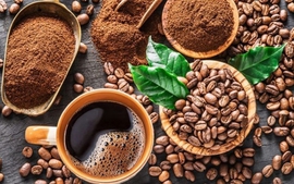 Giá cà phê Robusta thiết lập đỉnh lịch sử mới