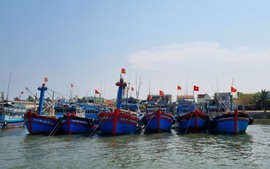 Quảng Ngãi tăng cường giám sát tàu cá vùng khơi