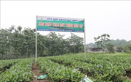 Huyện Định Hóa-Thái Nguyên: Khởi sắc sau 13 năm xây dựng nông thôn mới