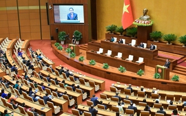 Nghị quyết về hoạt động chất vấn tại Kỳ họp thứ 7, Quốc hội khóa XV