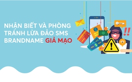 Infographics: Nhận biết và phòng tránh lừa đảo SMS BRANDNAME giả mạo