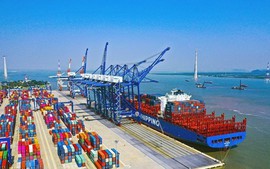 Nâng cao năng lực cảng biển Việt Nam
