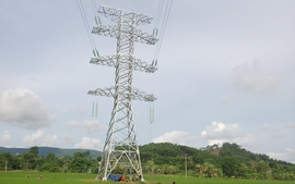 Cần tập trung nguồn lực để đẩy nhanh tiến độ dự án đường dây 220kV Nậm Sum – Nông Cống