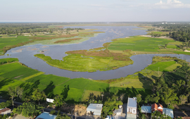 Bảo tồn hệ sinh thái đất ngập nước hồ Sông Đầm gắn với phát triển du lịch