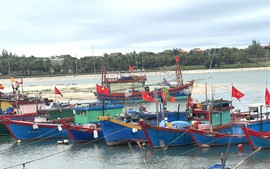 Chống khai thác IUU: Quảng Bình cần sớm giải quyết các tàu cá 