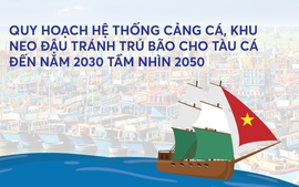 Infographics: Quy hoạch hệ thống cảng cá, khu neo đậu tránh trú bão cho tàu cá đến năm 2030 tầm nhìn 2050