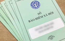Người lao động tự chốt sổ bảo hiểm xã hội online được không?