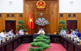 Thủ tướng Phạm Minh Chính chủ trì phiên họp Ban Chỉ đạo rà soát, xử lý vướng mắc trong hệ thống văn bản quy phạm pháp luật