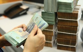 Trường hợp nào được NHNN cho vay đặc biệt, lãi suất 0%