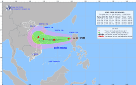 CÔNG ĐIỆN: Chủ động ứng phó áp thấp nhiệt đới có khả năng mạnh lên thành bão