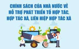 Infographics: Chính sách hỗ trợ phát triển hợp tác xã