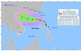 Tuyệt đối không tổ chức khai giảng tại những nơi mưa lớn, nguy cơ sạt lở