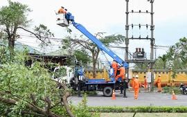 4,2 triệu khách hàng được khôi phục, cấp điện trở lại sau bão số 3
