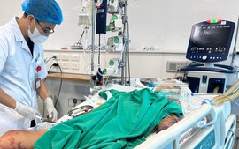 Quan niệm sai lầm, bệnh nhân suy đa tạng do liên cầu lợn