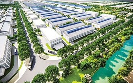 Thủ tướng Chính phủ chấp thuận chủ trương đầu tư khu công nghiệp Hòa Ninh, thành phố Đà Nẵng