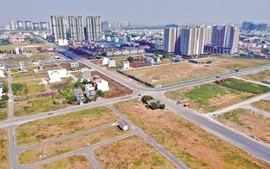 Chỉ đạo, điều hành của Chính phủ, Thủ tướng Chính phủ ngày 15/01/2025 (3)