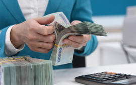 Phân bổ dự toán kinh phí hoạt động của các Đoàn đại biểu Quốc hội năm 2025