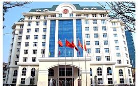 Ngành Thuế chuẩn bị mô hình quản lý mới khi xóa bỏ thuế khoán