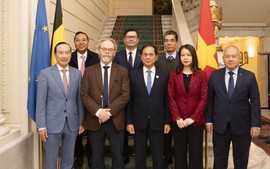 Việt Nam đề nghị Bỉ phê chuẩn EVIPA trong năm 2025