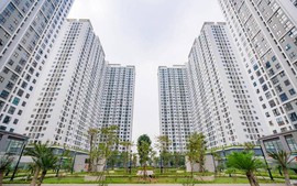 Chỉ đạo, điều hành của Chính phủ, Thủ tướng Chính phủ ngày 13/10/2025