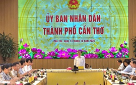 Cần Thơ: Sớm kiện toàn tổ chức bộ máy, nhân sự các Hiệp hội doanh nghiệp