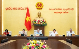 Nghị quyết Ủy ban Thường vụ Quốc hội khóa XV