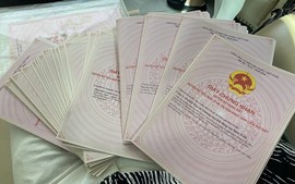 Mất Giấy chứng nhận, cấp lại có bị giới hạn diện tích đất ở?