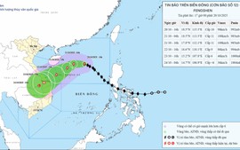 Thủ tướng yêu cầu chủ động ứng phó bão số 12 và mưa lũ