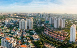 Quy chế hoạt động của Ban Chỉ đạo Trung ương về chính sách nhà ở và thị trường bất động sản
