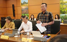 Cần có 'cơ chế đặc biệt' cho doanh nghiệp các ngành công nghiệp chiến lược