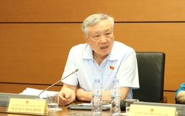 Sẽ có chương trình giải quyết căn cơ vấn đề đê điều ở phía bắc
