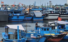 Đà Nẵng kêu gọi người dân trữ lương thực, nhu yếu phẩm ít nhất 3 ngày phòng lũ lớn