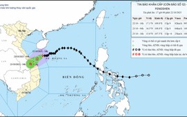 Thủ tướng chỉ đạo tập trung phòng, tránh, ứng phó mưa lũ, ngập lụt tại khu vực Trung Trung Bộ
